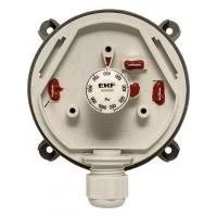 RVG-10-1000