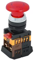 BBG20-AELA-K04