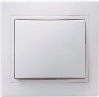 EVK10-K01-10-DM