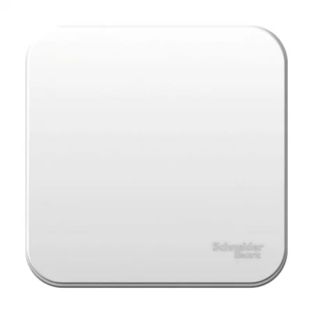 Выключатель 1-кл. ОП Blanca 10А IP20 (сх. 1) 250В бел. SE 