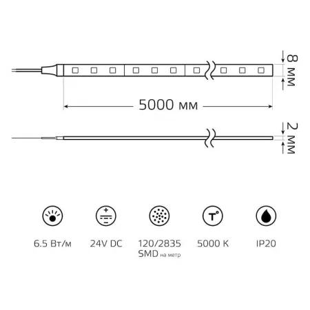 Лента светодиодная Black 2835/120-SMD 6.5Вт/м 5000К холод. бел. IP20 600лм/м 24В (блист.5м) GAUSS 