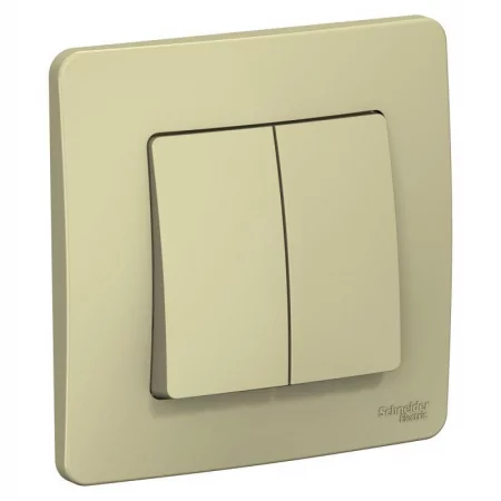 Выключатель 2-кл. СП Blanca 10А IP20 (сх. 5) 250В беж. SE 